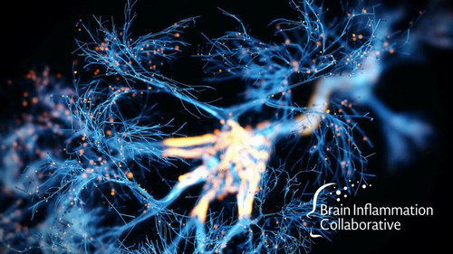 PWs1fwshDF 0ZB2v.jpg