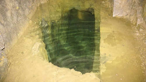 19983936 10158997276440150 1322639791434434342 o.jpg