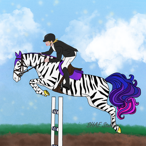 zebra jumper marked.png