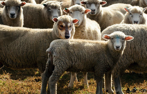 Screenshot 2025 10 02 at 13.46.00.png