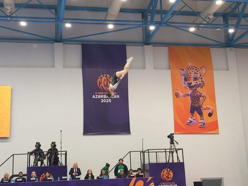 556032931 1218415783653693 5133687954376756245 n.jpg?stp=dst jpg s600x600 tt6& nc cat=108&ccb=1 7& n.jpg