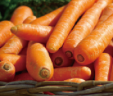 img vegetables carrot.png