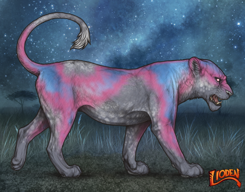 lioden wardrobe 2025 10 01T212608.876.png