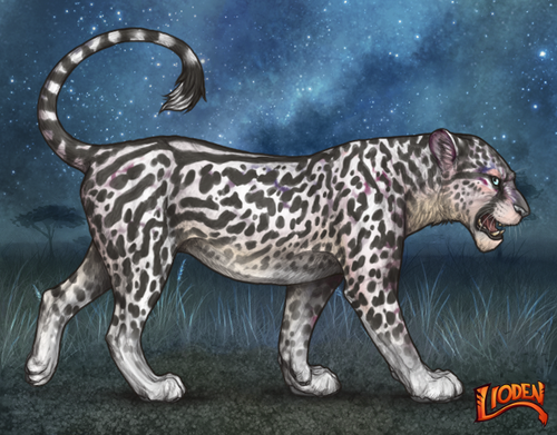 lioden wardrobe 2025 10 01T214731.923.png