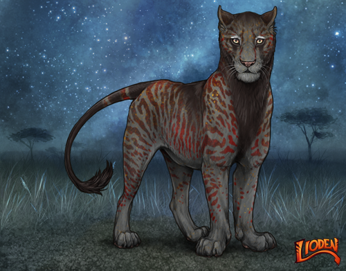 lioden wardrobe 2025 10 01T214906.771.png