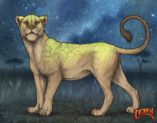 lioden wardrobe 2025 10 01T213325.773.png