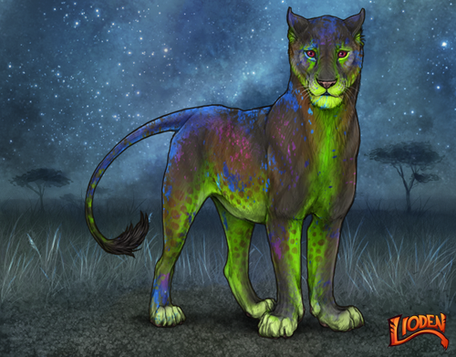 lioden wardrobe 2025 10 01T213748.749.png