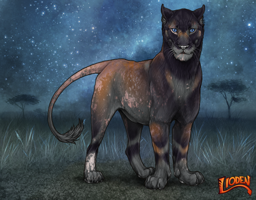 lioden wardrobe 2025 10 01T213503.767.png