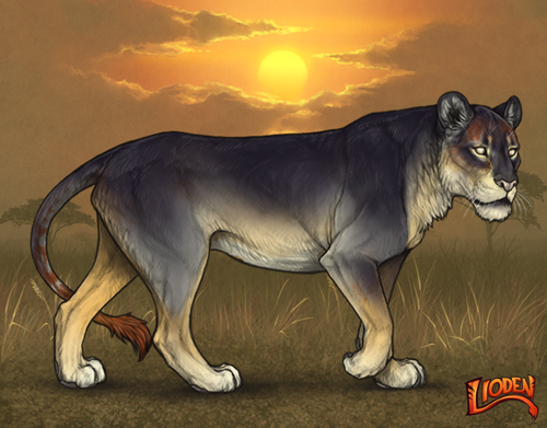 lioden wardrobe 2025 10 01T222205.511.png