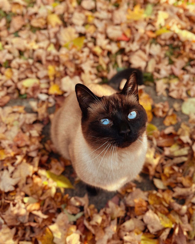 558334513 10225942387460867 926268571320887974 n.jpg