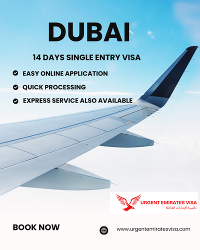 Easy Process for 14 Days Single Entry Dubai Tourist Visa.png