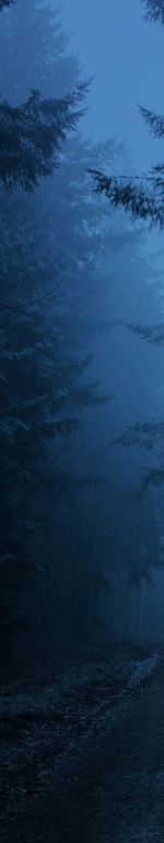 Untitled design (16).png