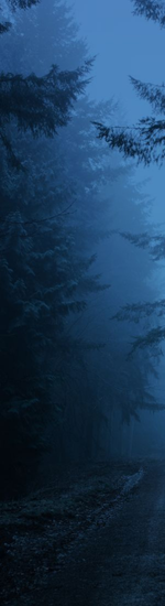 Untitled design (10).png