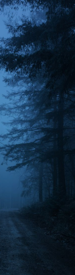 Untitled design (15).png