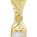 2020 virtualPLwinner