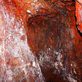 20017727 10158997364460150 6628195962149419037 o