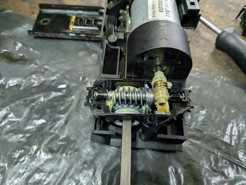 PXL 20241111 132502423.MP.jpg