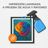 2.1 laminada a prueba de rayones