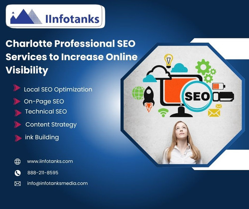 Charlotte Professional SEO Services to Increase Online Visibility.jpg