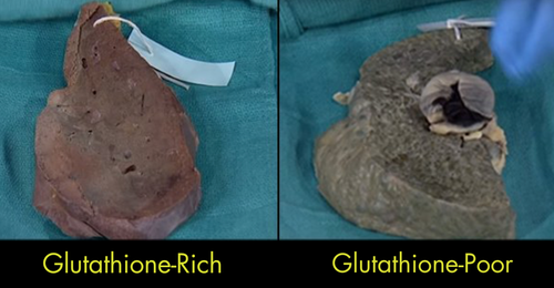 Glutathione Rich.png