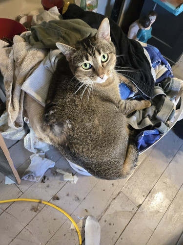 558680129 1500707037861947 5601568855963080477 n.jpg