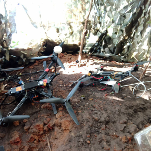 signal 2025 09 12 095837 003