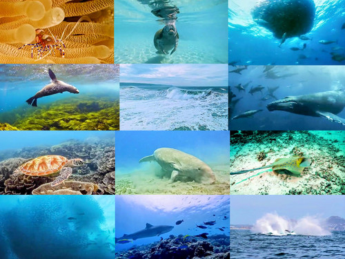 ' Glorified is The All-Mighty Creator '.jpg