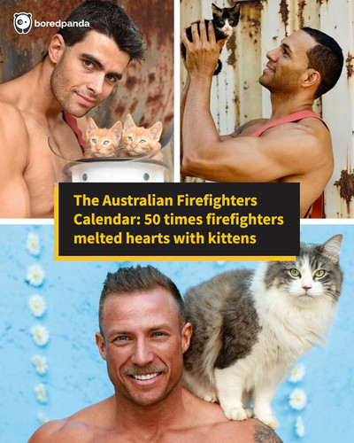 australian firefighters calendar cats.jpg