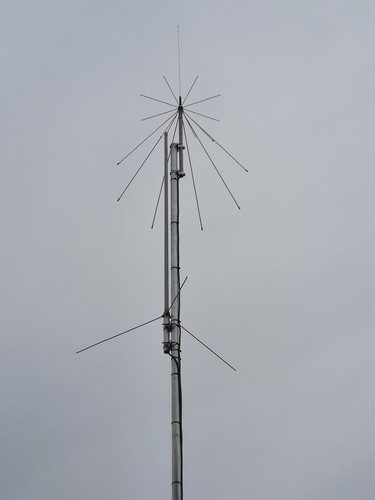 thumbnail 1000015317