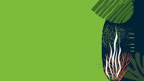 TIbD2xpqPtvt g72.jpg