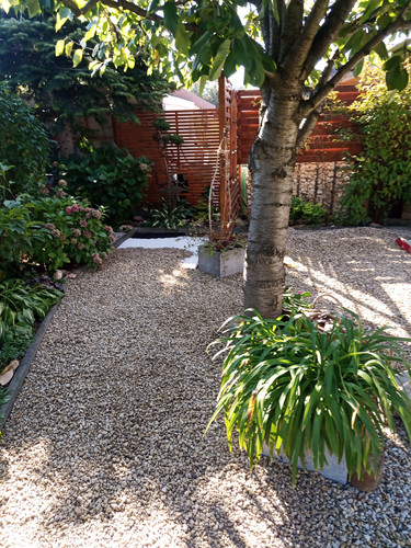 IMG 20251003 114946.jpg