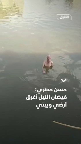 4LOgdN TLS3IyT9L.jpg