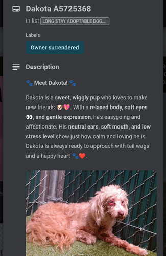 G1pUwTobIAAHNj1?format=jpg.jpg