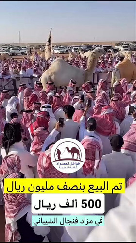 HOHLae8tK47MeNpF.jpg