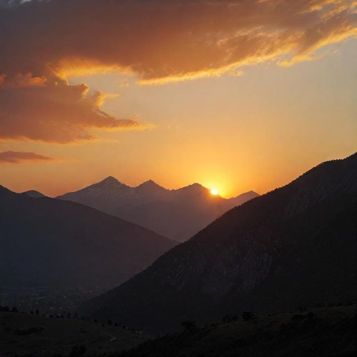 5869bdb8a8f3.jpg
