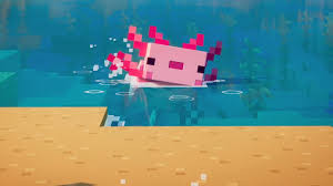 335c4c43f565.jpg
