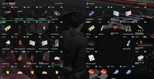 FiveM GTAProcess t8Go0ZIcYE.2