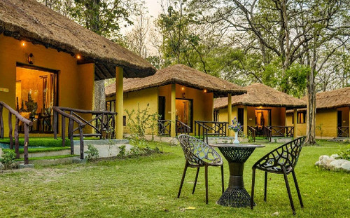 Unwind in the Wild: Stay at Bijrani Jungle Cottages.jpg