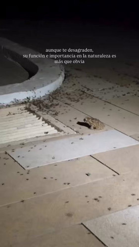 4pQjcP08vcVeWqcQ.1