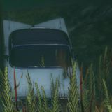 FiveM GTAProcess NYM0k9z4CM.2