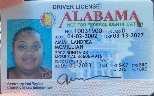 Amiah L Mcmillian license image.jpg