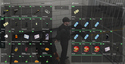 FiveM GTAProcess 5W1T0Awfxz.png