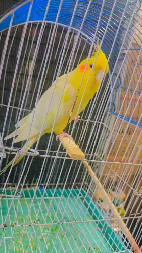 1000439643.webp