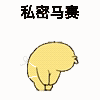 IMG 0725.gif