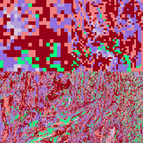 G2WMCc4XEAE9wXF.png