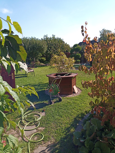 IMG 20251003 125836.jpg