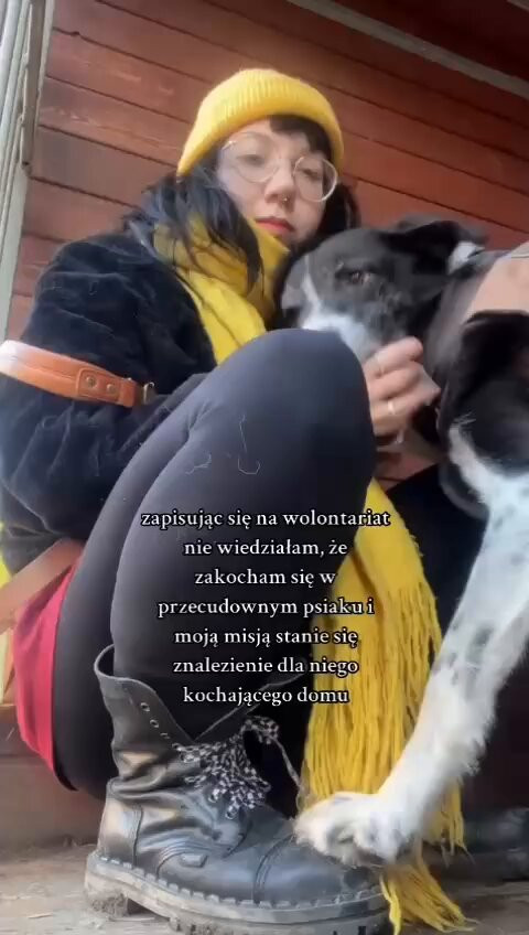 1B6TPyAzuqJwISFI.jpg