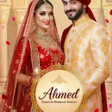 Overseas Pakistani Shaadi Services in New York, Houston &amp; Chicago – Apply Online (4)