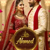 Overseas Pakistani Shaadi Services in New York, Houston &amp; Chicago – Apply Online (2)