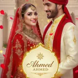 Pakistani Marriage Bureau USA – Shaadi &amp; Rishta in New York, Houston &amp; Chicago (5)